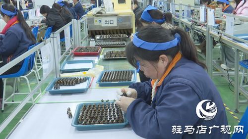 泌陽銘普電子 以科技為引擎，沖刺首季開門紅，引領通信技術新浪潮